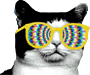 jHhb3.gif