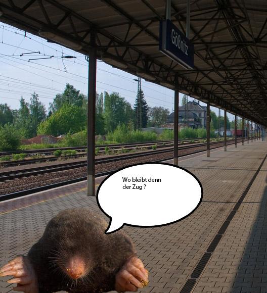 c50xu7ar5y8k6ktcq.jpg