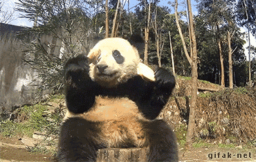 tumblr_nnu4urm95R1s2yegdo1_400.gif