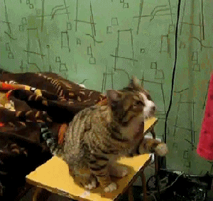 hornoxe.com_gifdump32_2.gif