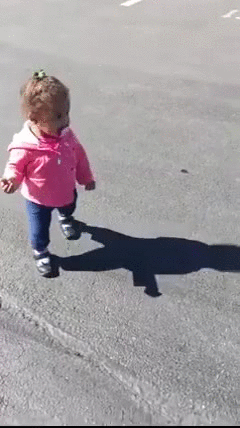 LRc9Ywy.gif