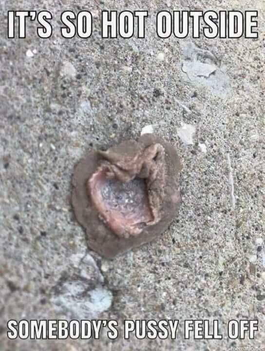 picdump-18-08-17-001.jpg