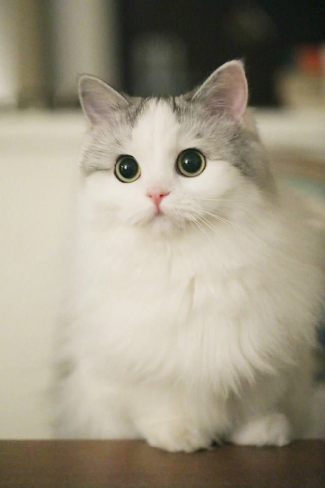5c387b2f5c7c9e79342d005bdaccd9fa.jpg