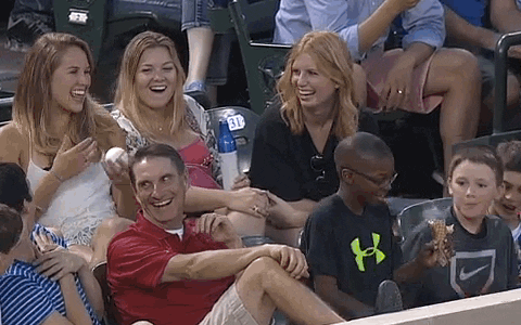 giphy.gif