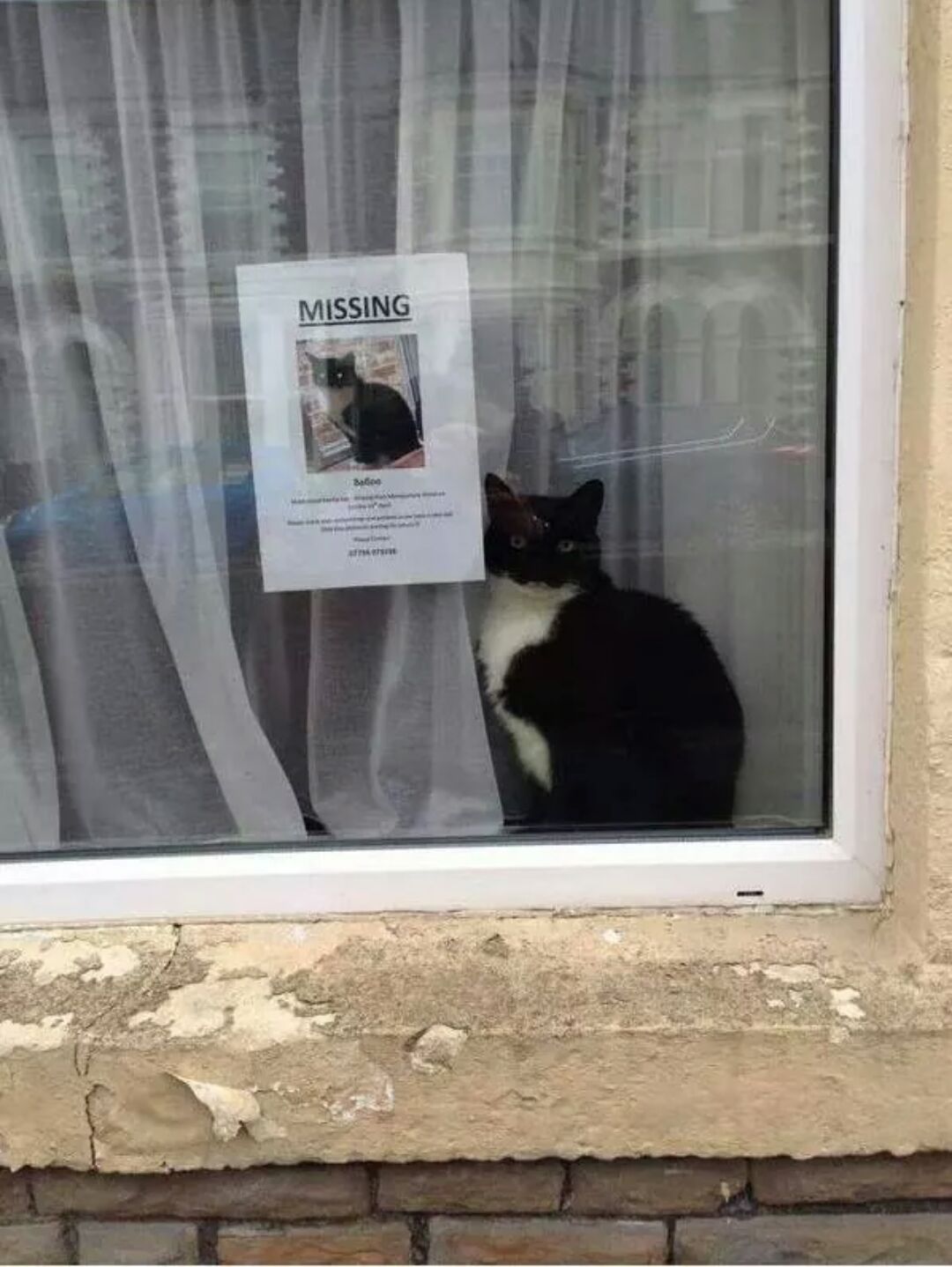 GHeXkBR.jpg