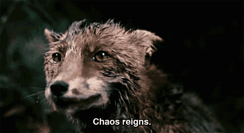 tumblr_mhcf9uomuM1rbc4zzo1_500.gif