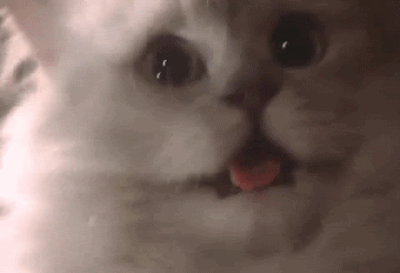 tumblr_inline_n9fqghJGKA1sydhkm.gif
