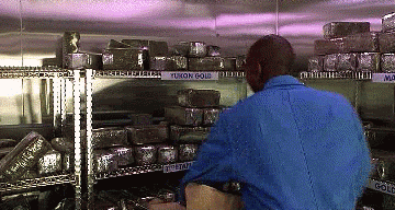 f4da3321.gif