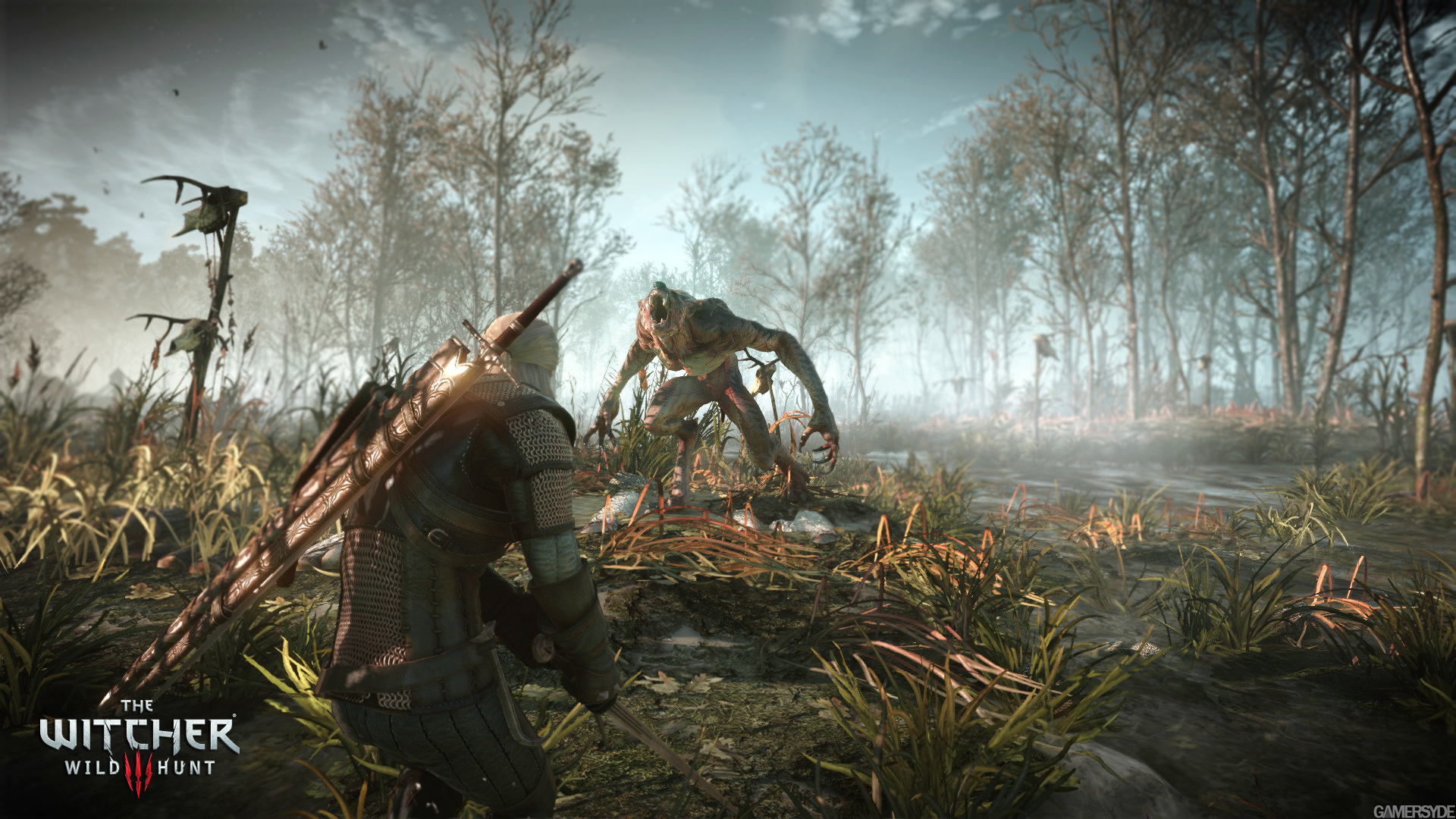image_the_witcher_3_wild_hunt-25398-2651_0010.jpg