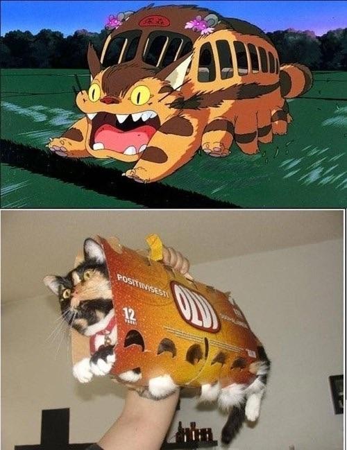 thumbs_picdump390_071.jpg