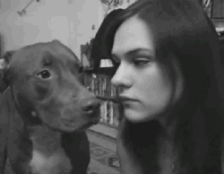 funniest-dog-gifs-dog-licking.gif