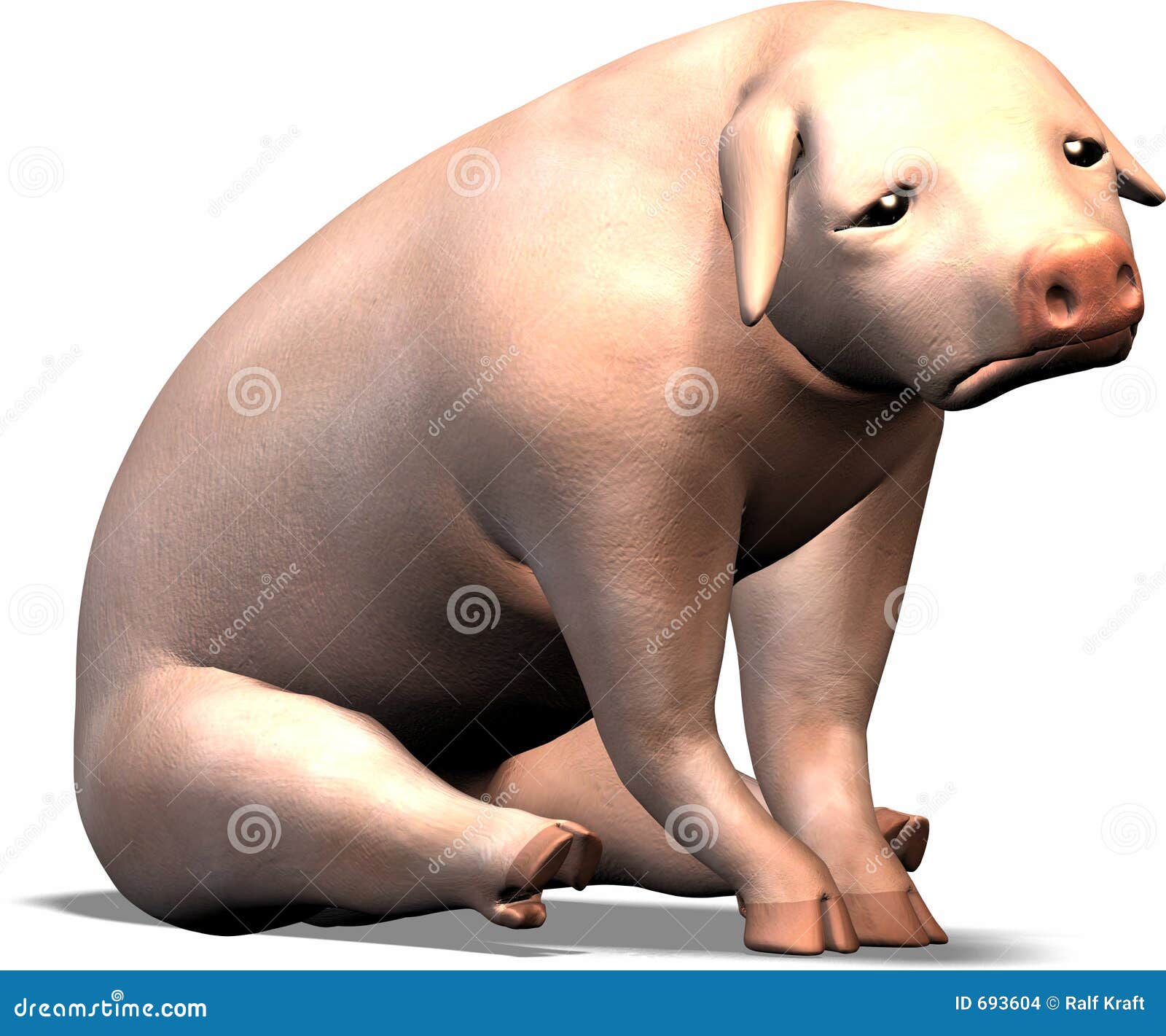 trauriges-schwein-693604.jpg