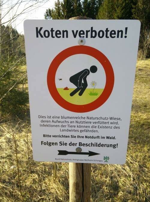 picdump568_009.jpg
