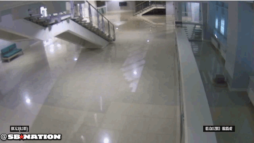 CAT.gif