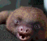 x46a1.gif