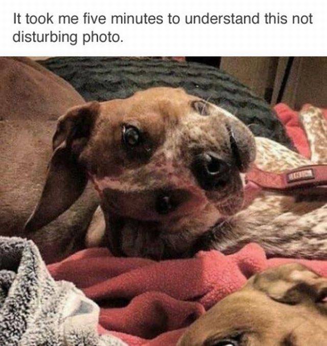 picdump547_181.jpg