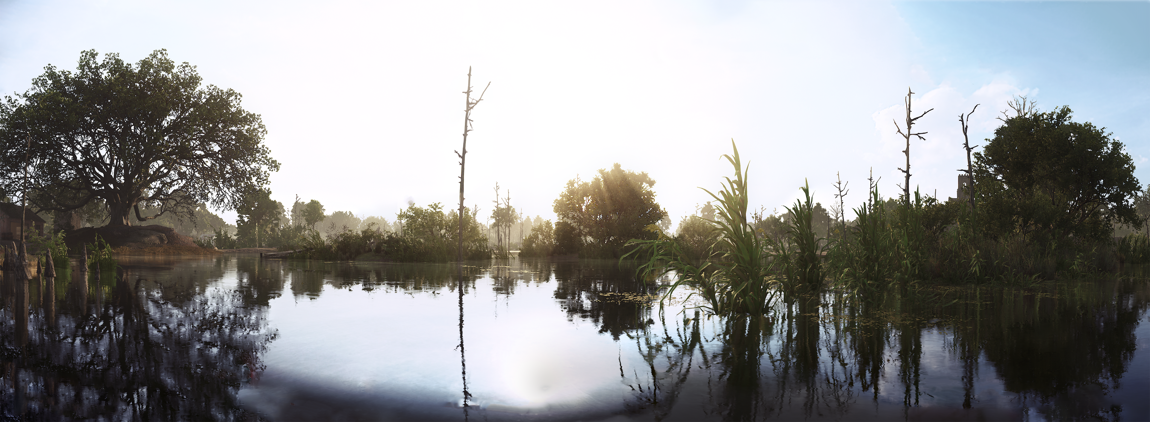 39670025045_78f3d7f06a_o.png