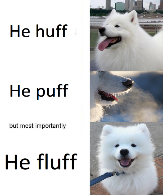 5t70yzuscgez.png