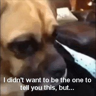 VDarvnh.gif
