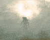 xWI9T.gif