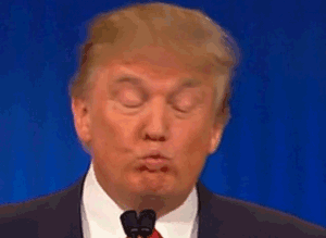 640e20be85b8b1fa7528ff610b25b568.gif