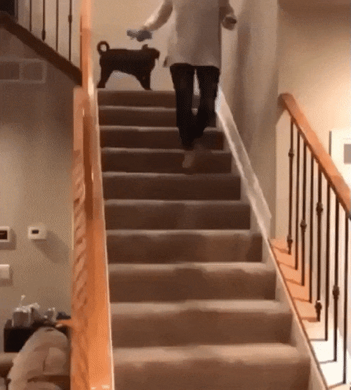 MZ2gi3D.gif