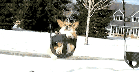 cCikg.gif