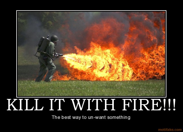 71494,1299552224,kill-it-with-fire-demo6p0v.jpg