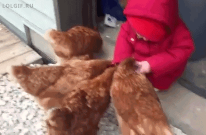 tumblr_nnie4kw4Au1u2jwbho1_500.gif