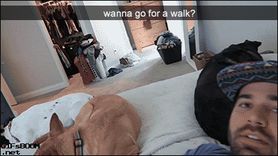 tumblr_nrov79Futc1s02vreo1_400.gif