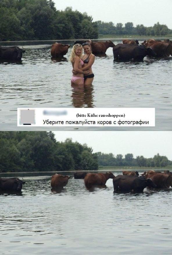 picdump373_015.jpg