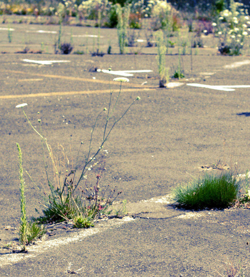 abandoned_6_view_by_rps05-d3vrbgx.jpg