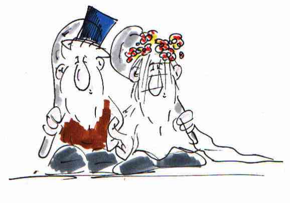hochzeit1gr.JPG