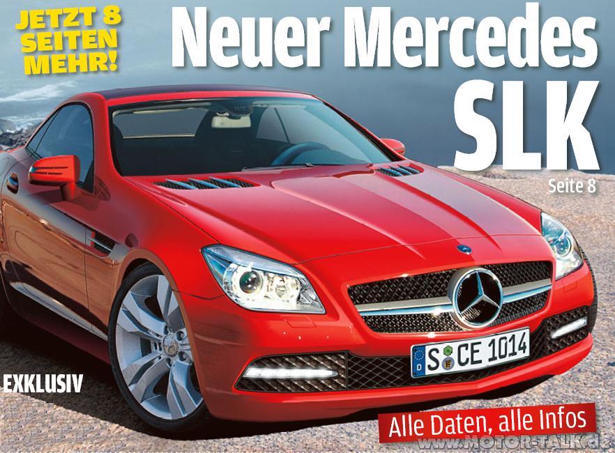 bild-1-43137.jpg