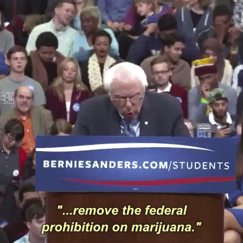 oy5cjzu.gif
