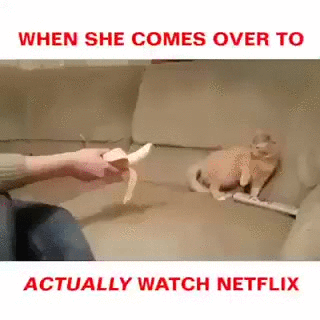 M2cnSxG.gif