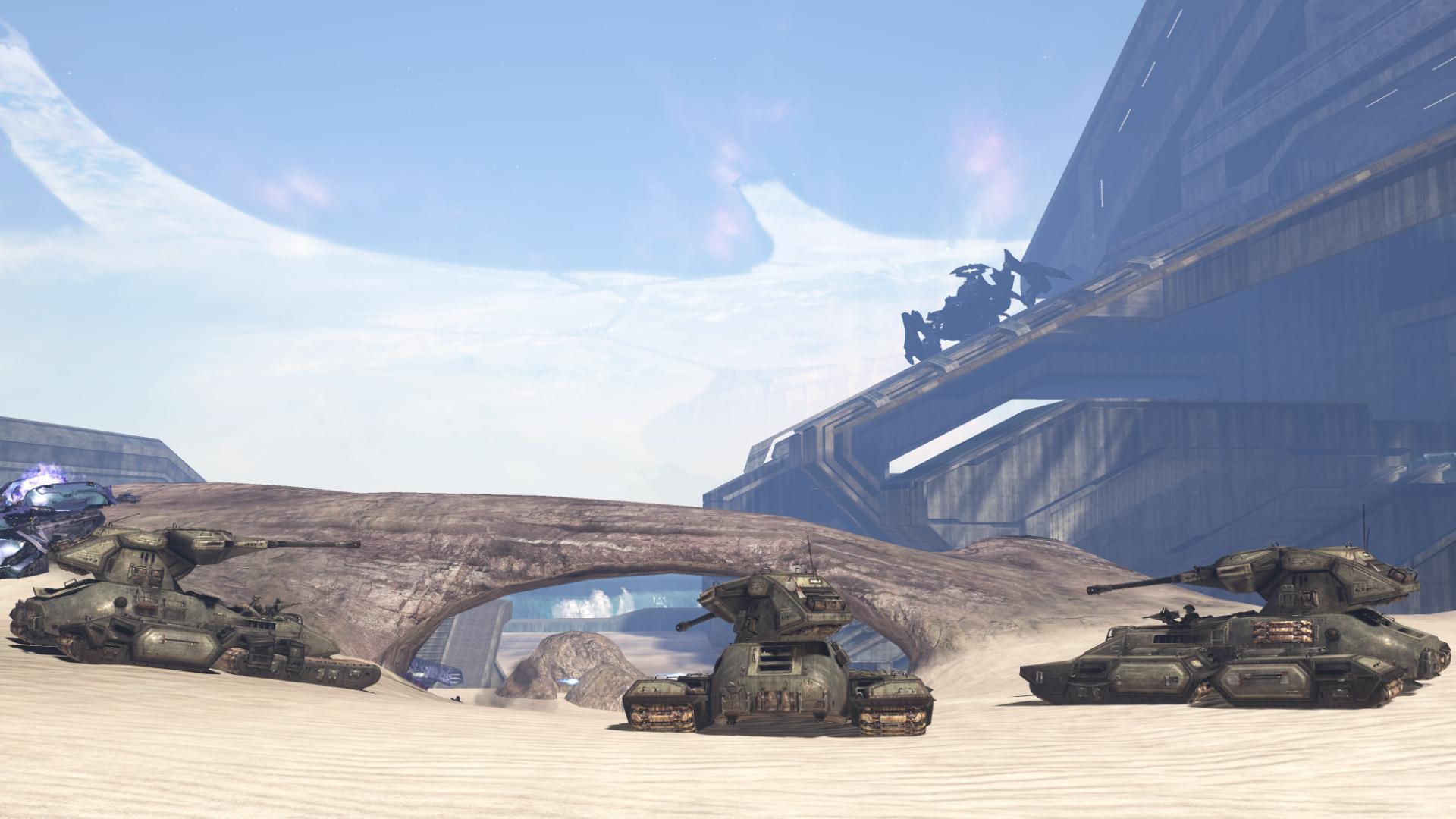 ScarabsBack-large.jpg