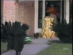 3afIwtx.gif