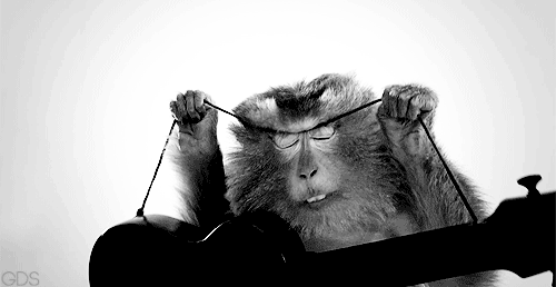 tumblr_mhe37w8FuI1qagopio1_500.gif