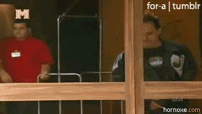 hornoxe.com_gifdump01_14.gif