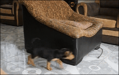 tumblr_nbmz7dzbPE1s02vreo1_400.gif