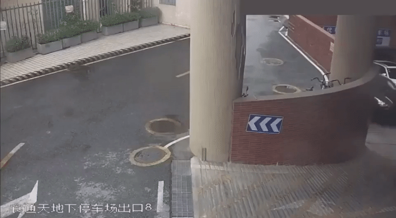 I8q99nn.gif