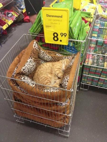 picdump-16-09-16-038.jpg