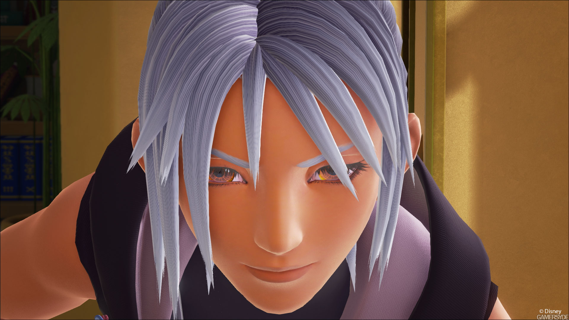 image_kingdom_hearts_iii-28690-2757_0003.jpg