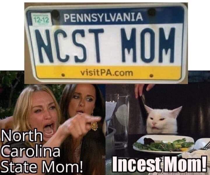 woman-yelling-at-cat-meme-12.jpg