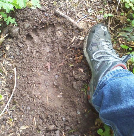 Skokomish2.jpg