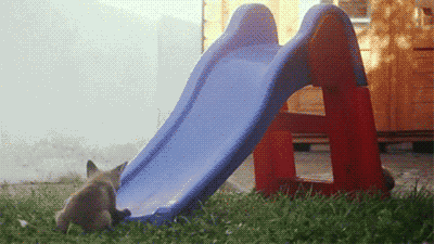 tumblr_nokb6jtwGK1s02vreo10_400.gif