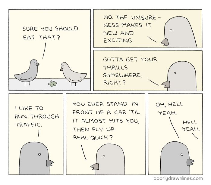 pigeon.png