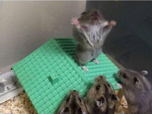 thumbs_picdump476_09.jpg
