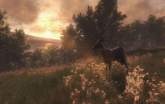 The-Hunter-PC-Games-02.jpg